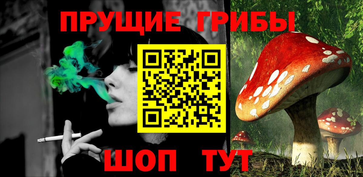 Псилоцибиновые грибы GOLDEN TEACHER  Вход с VPN  Белая Калитва 